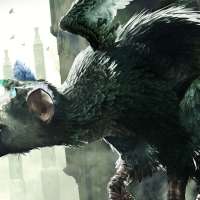 The Last Guardian: First Impressions